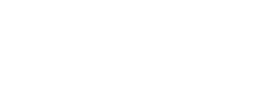 Bezel